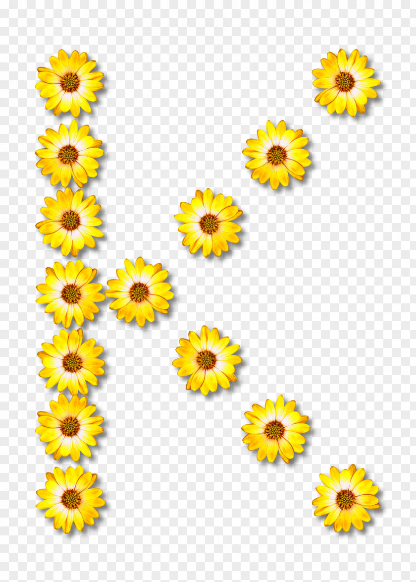 Github GitHub Flower Common Daisy Petal Clip Art PNG
