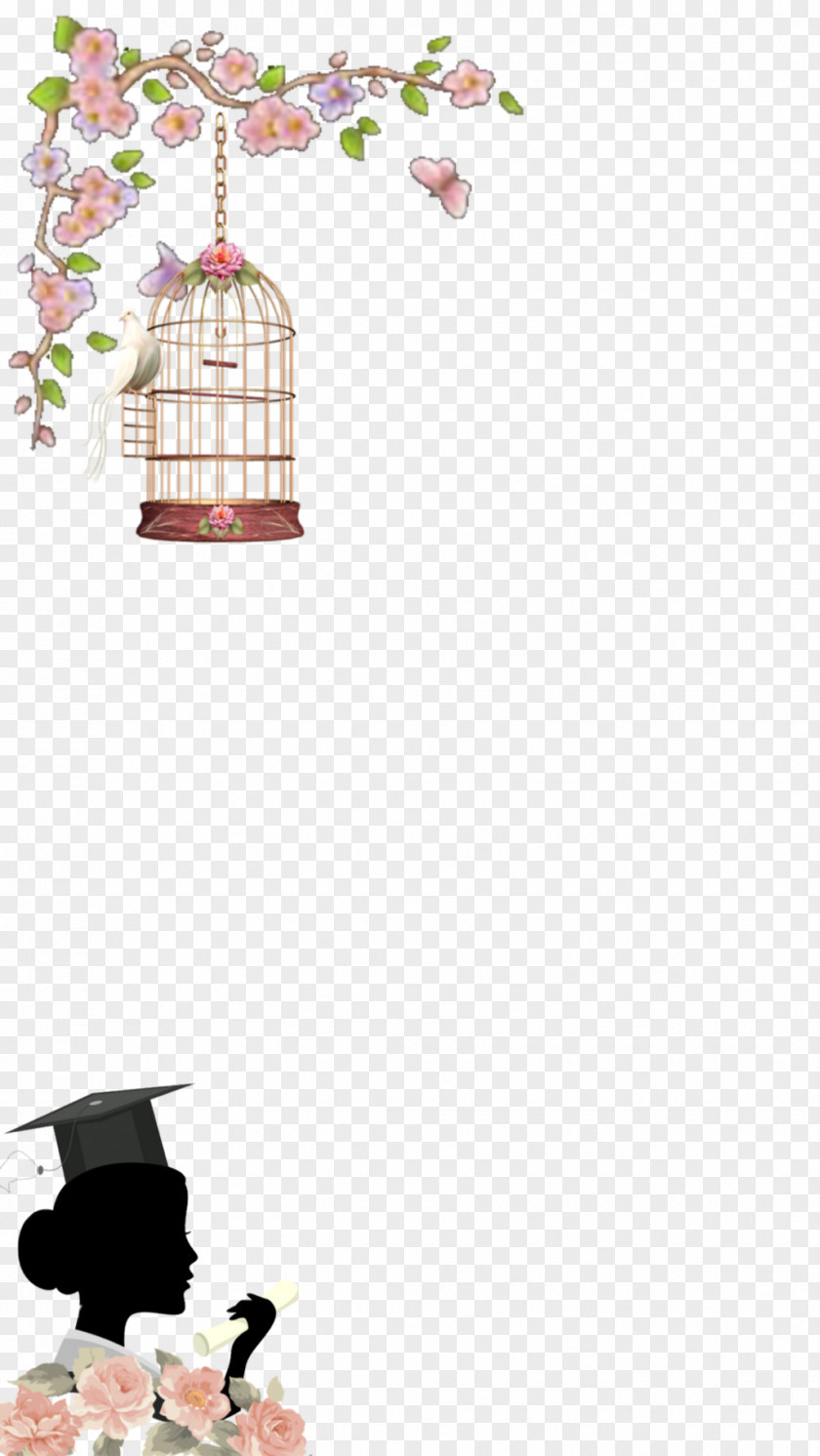 Graduation Element Background Hashtag Instagram Snapchat Tagged PNG