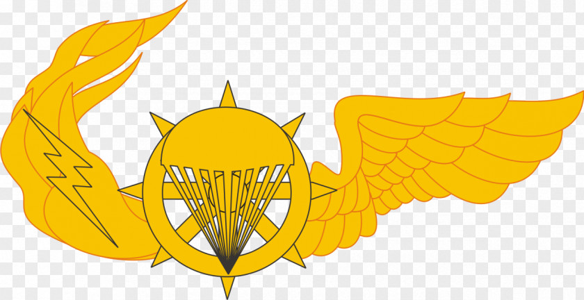 Military Indonesian National Armed Forces Air Force Para Dasar Army PNG