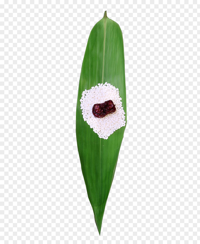 Bamboo Leaves And Glutinous Rice Jujube Pictures Zongzi Leaf PNG