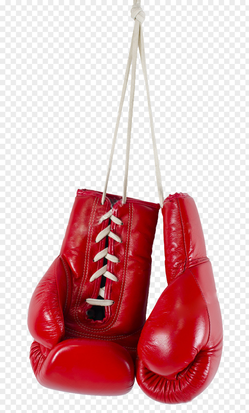 Boxing Gloves Glove Stock Photography PNG