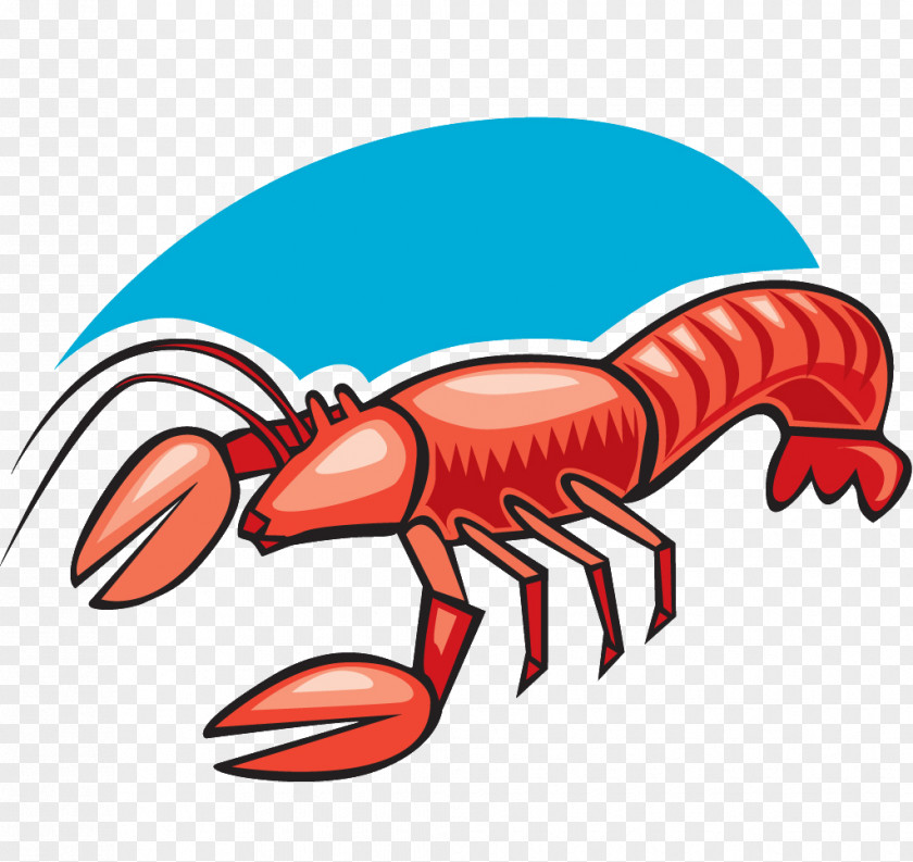 Cartoon Lobster Homarus Palinurus Elephas Clip Art PNG