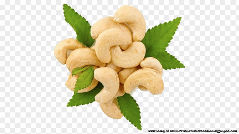 CASHEW Roasted Cashews Tree Nut Allergy Food PNG
