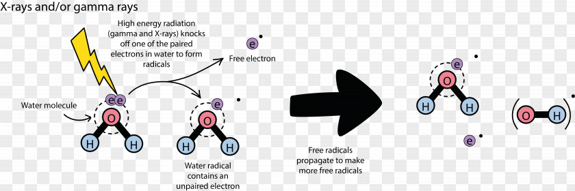 Energy Gamma Ray Chemical Bond Photon Radiation Radical PNG