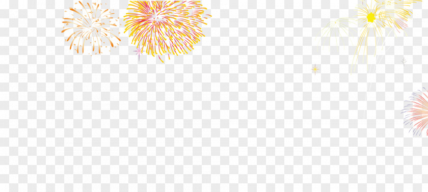 Fireworks Paper Graphic Design Petal Pattern PNG