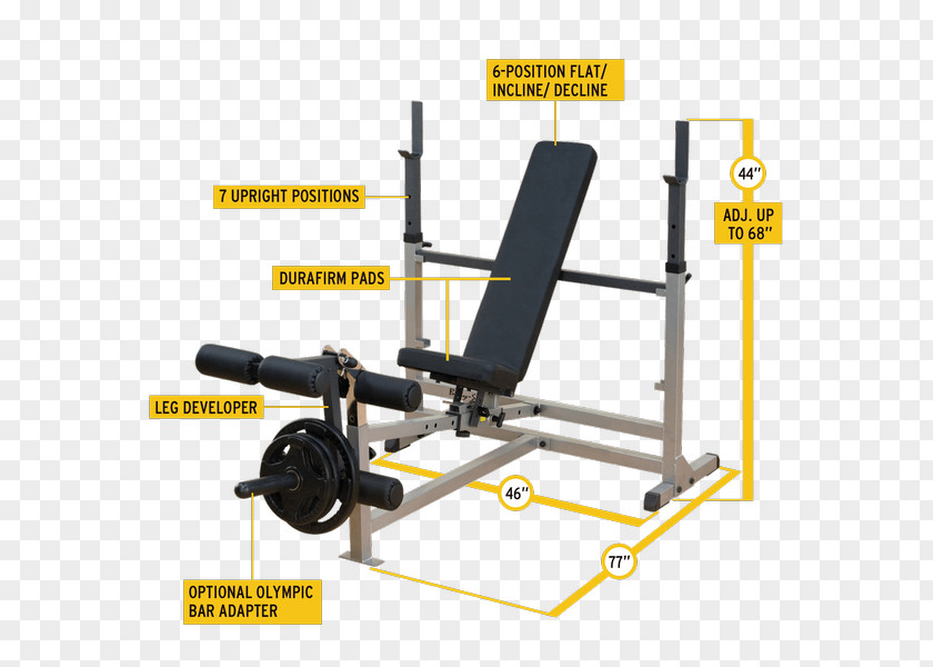 Gym Equipments Bench Human Body Fitness Centre Power Rack Exercise Equipment PNG