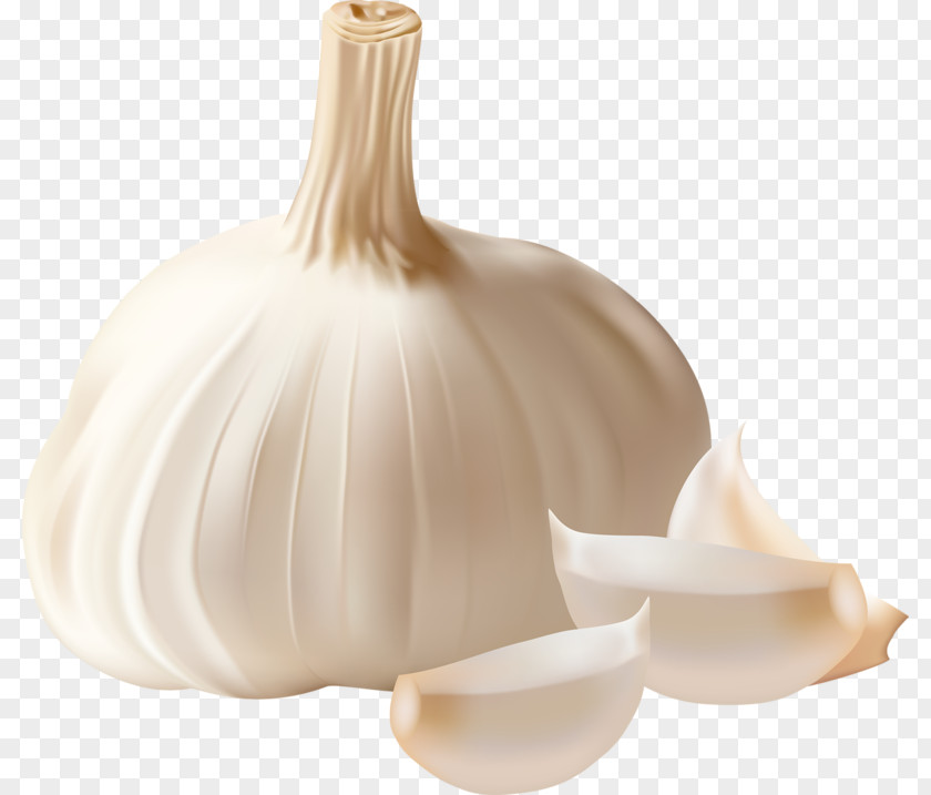 Nice Onion Garlic Bread Clove Clip Art PNG