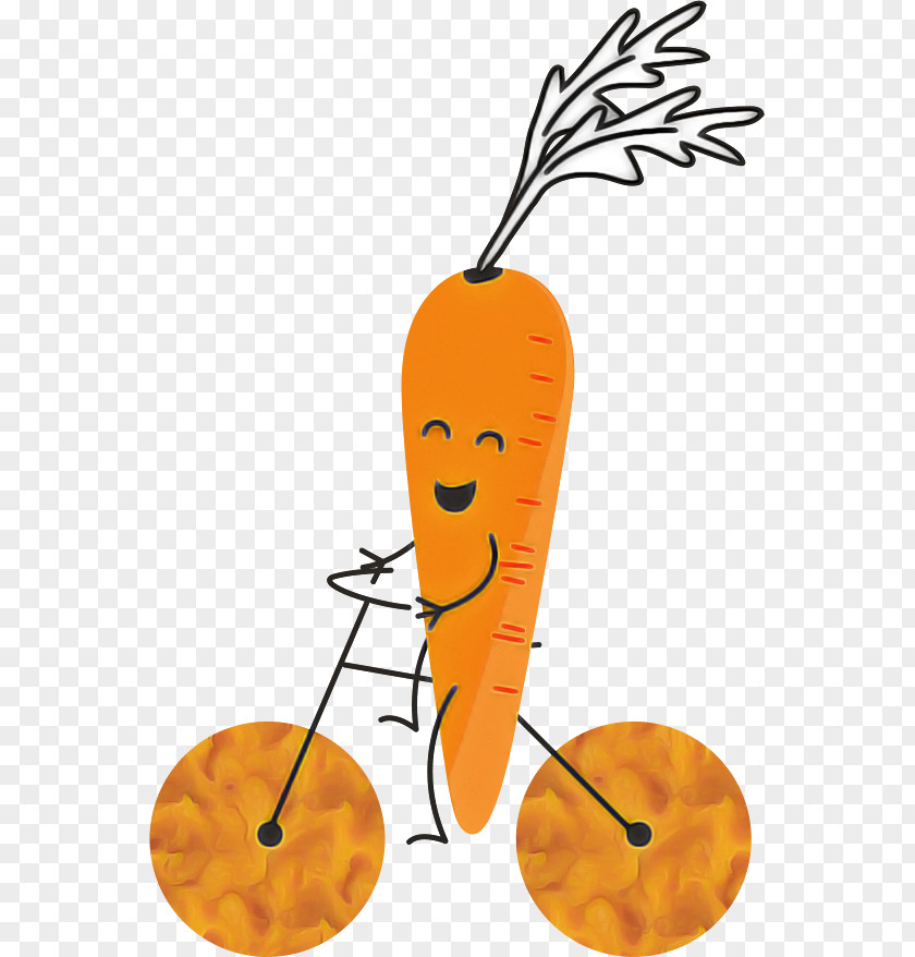 Orange S.a. Line Meter Fruit PNG