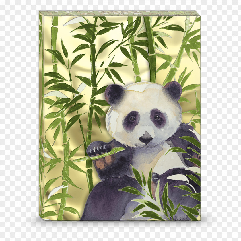 Pagoda Pattern 雑貨ロビン Giant Panda Product France Image PNG