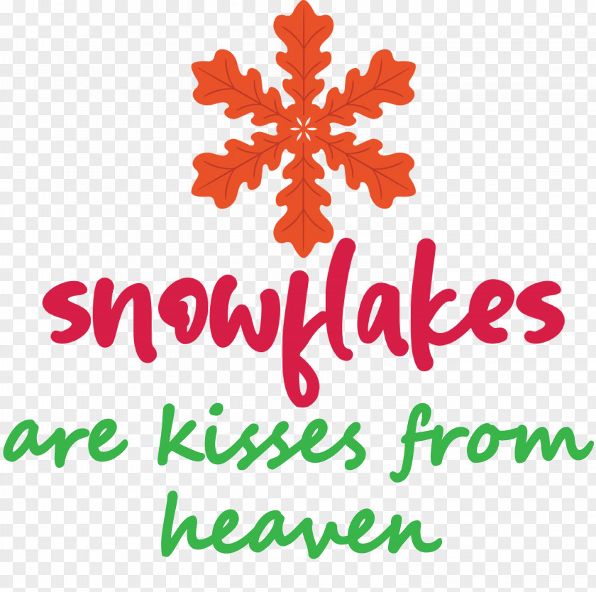 Snowflakes Snow PNG