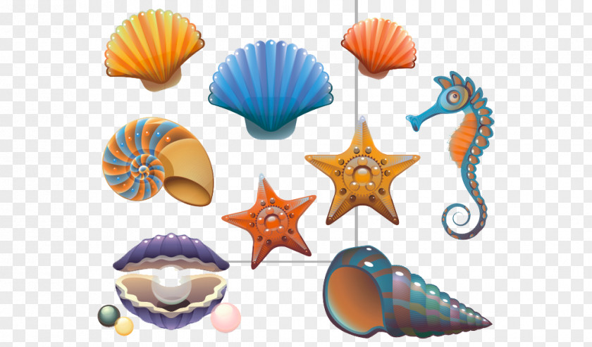 Starfish Seashell Mollusc Shell Drawing Illustration PNG