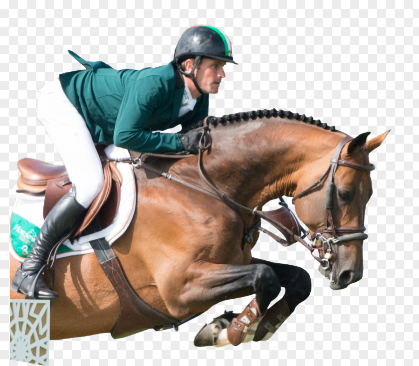World Rider Horse FEI Equestrian Games Show Jumping English Riding PNG