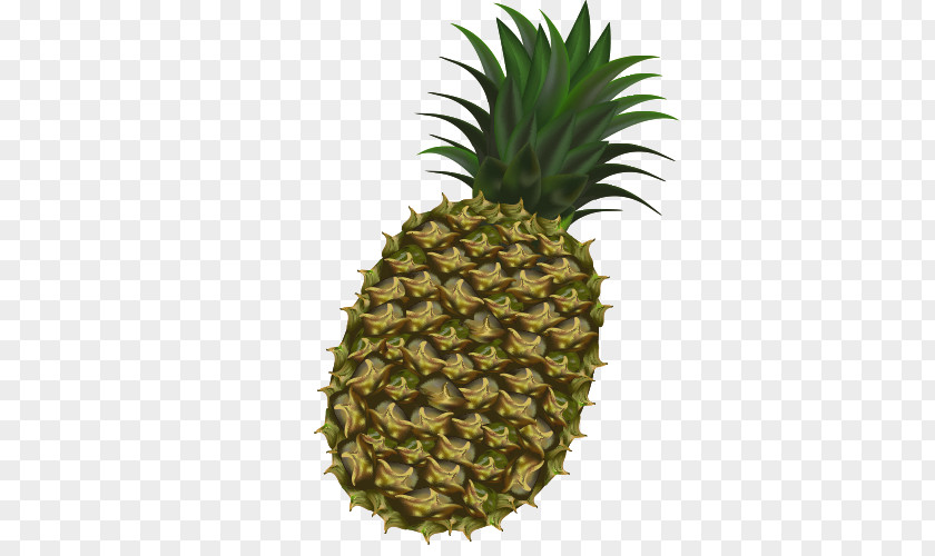 Cartoon Pineapple Tropical Fruit Kiwifruit PNG