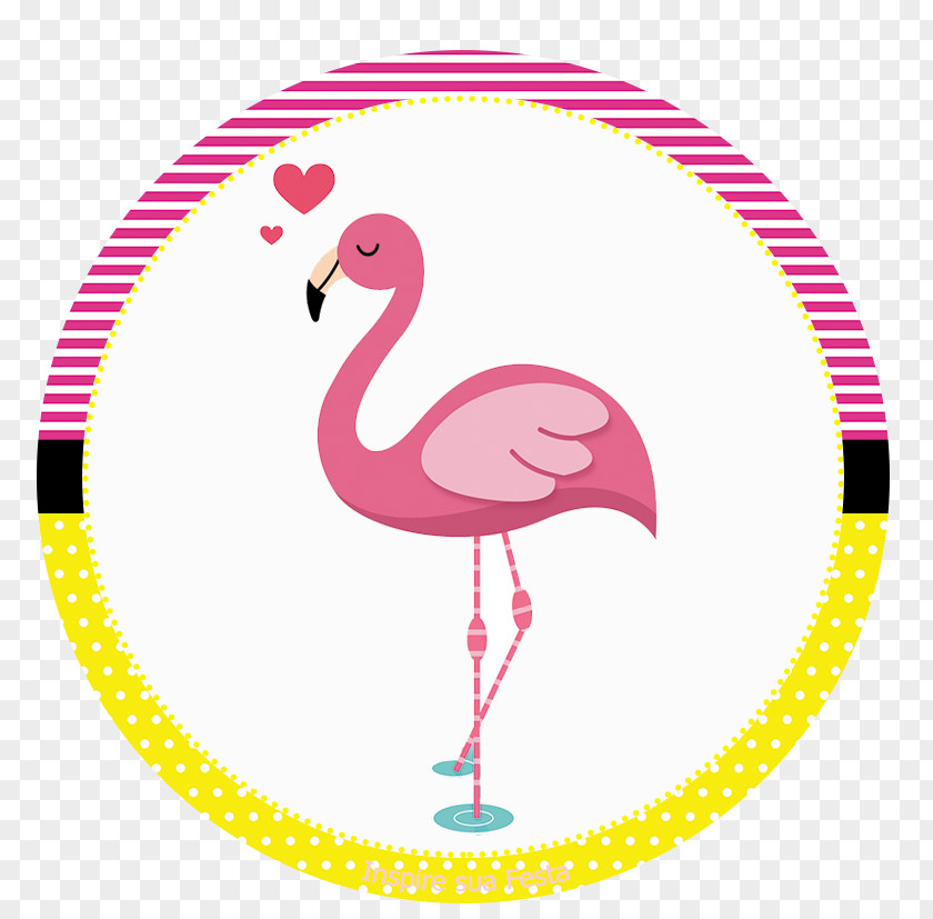 Flamingos Party Favor Birthday Convite PNG