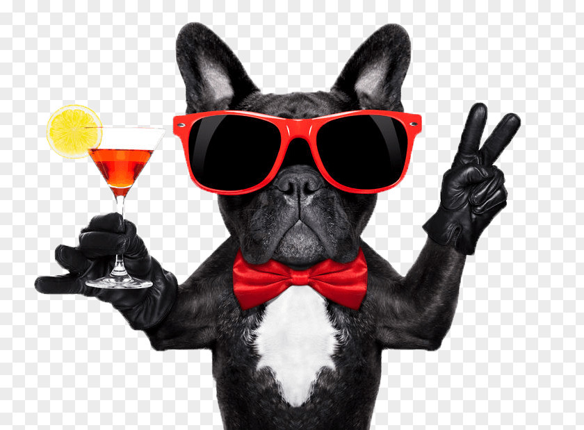 Glasses Dog Cocktail Glass Martini Party PNG
