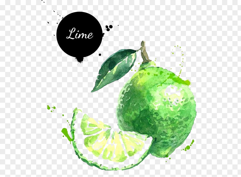 Lime Lemon-lime Drink Key Illustration PNG