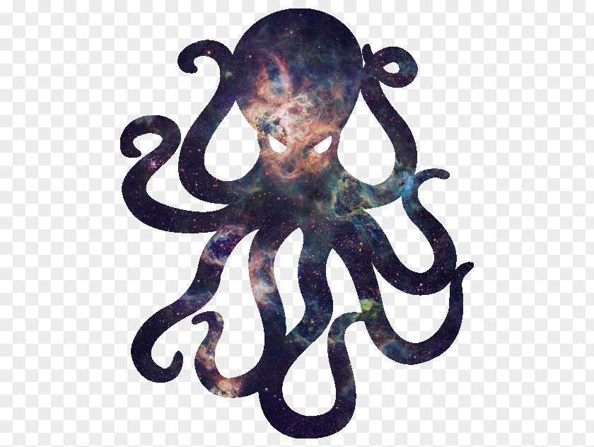 Octopus Wall Decal Sticker Logo PNG