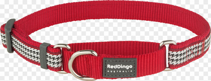Red Collar Dog Dingo Martingale PNG