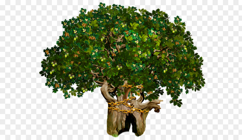 Tree Край лукомор'я дуб зелений У лукоморья--- Ruslan And Ludmila Fairy Tale PNG