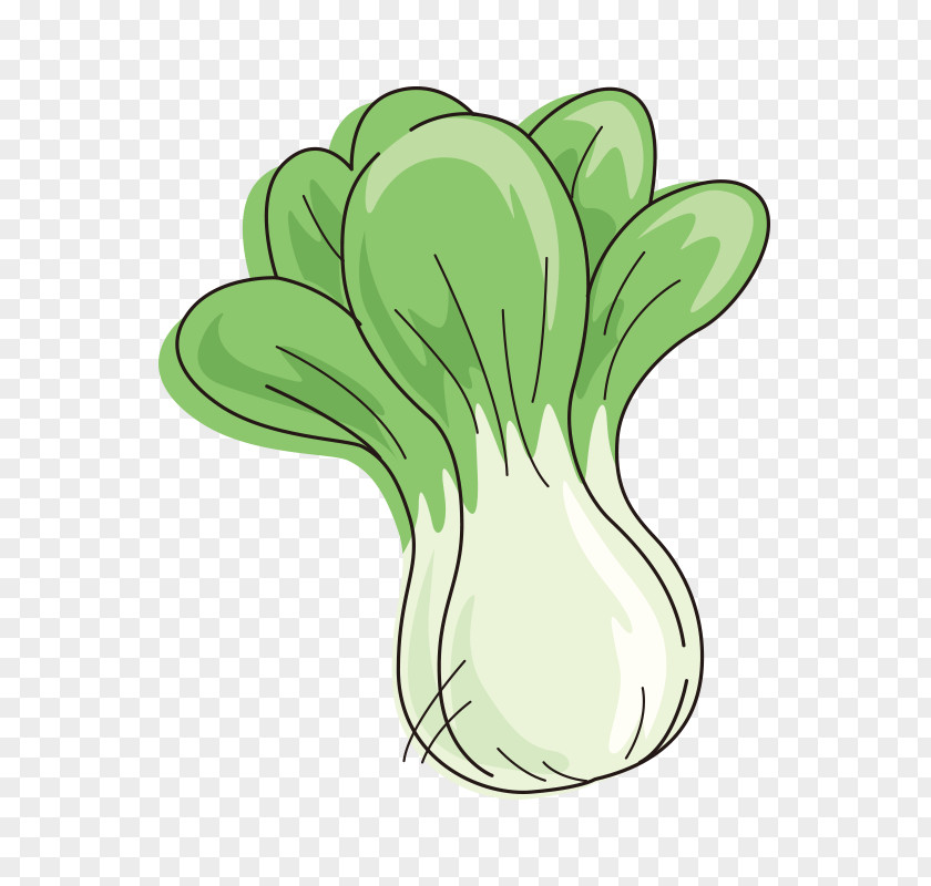 Chinese Cabbage,vegetables Cabbage Cartoon Vegetable PNG