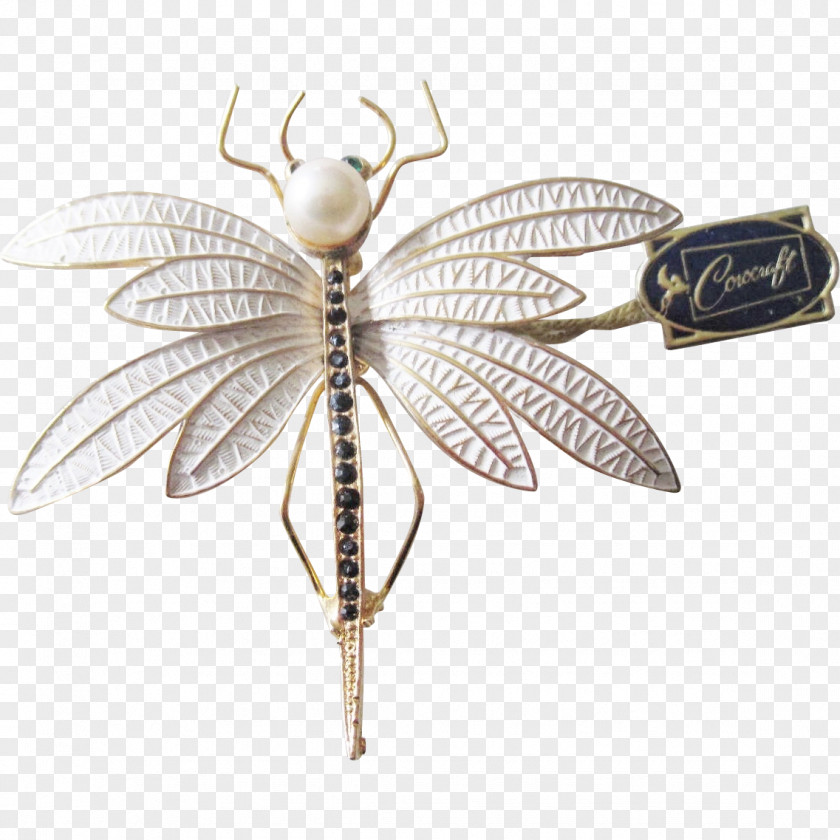 Dragonfly Insect Jewellery Butterfly Clothing Accessories Pollinator PNG