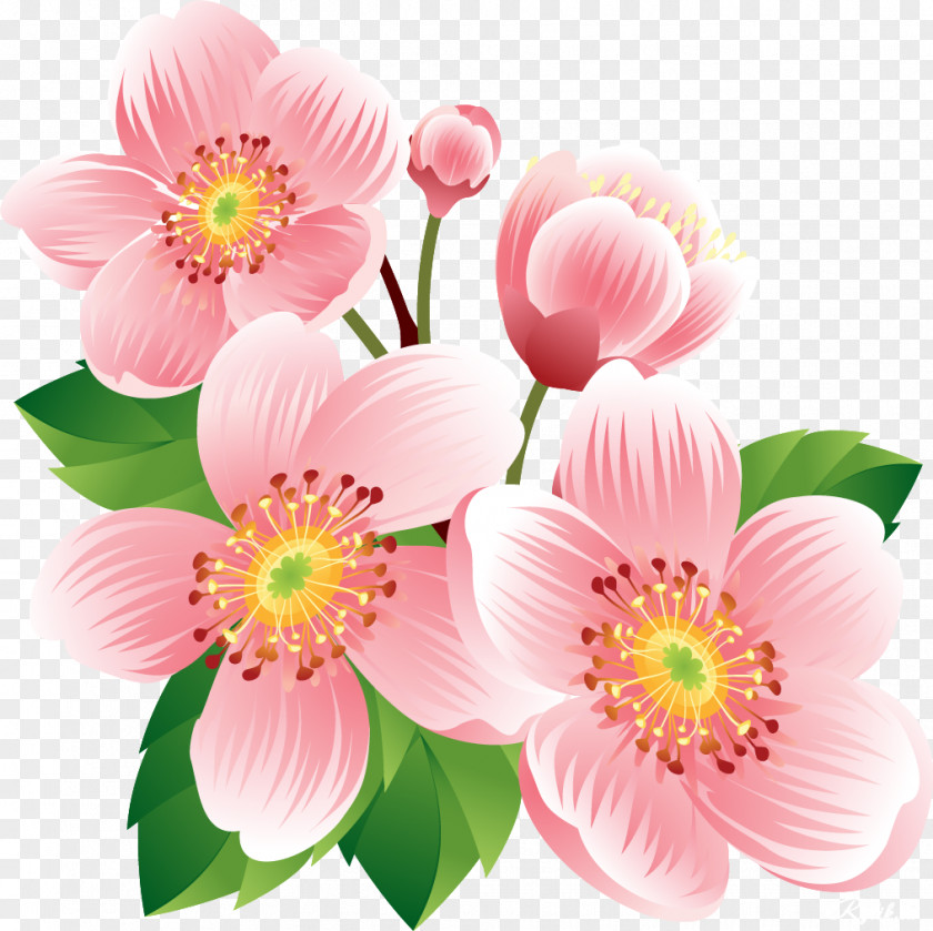 Flower Clip Art Floral Design Illustration Vector Graphics PNG