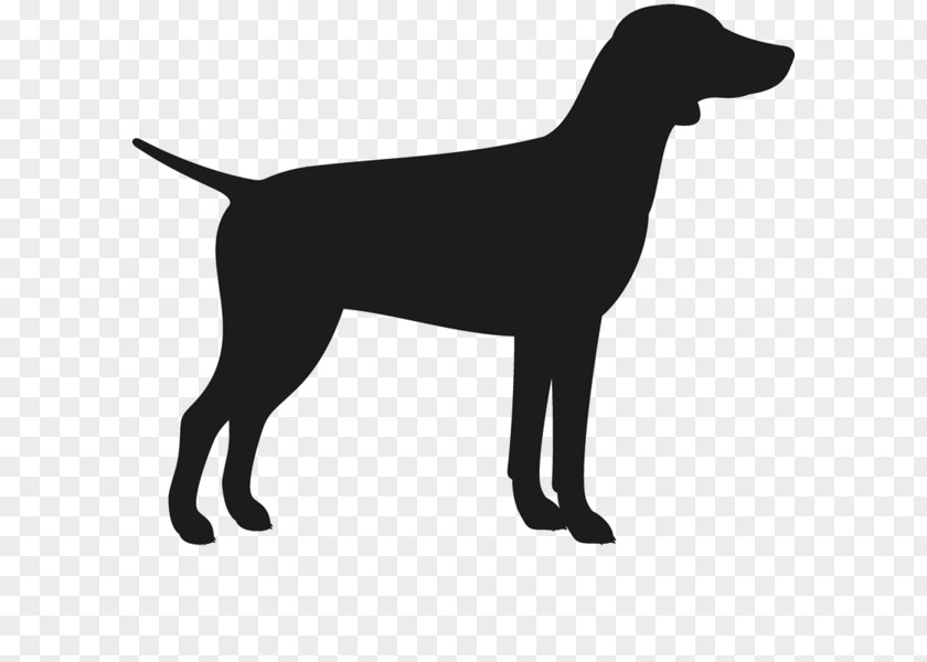 German Shepherd Silhouette Labrador Retriever Flat-Coated Dog Breed Puppy Shorthaired Pointer PNG