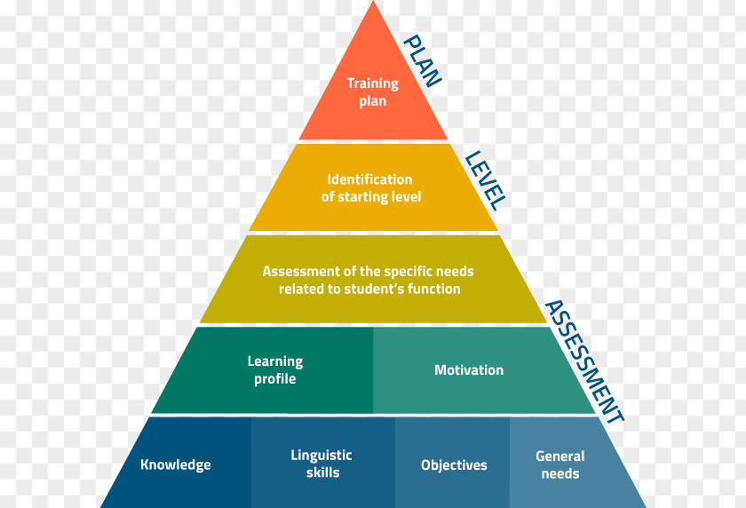 Training Development Program Pyramid Business Administration Diagram Management PNG