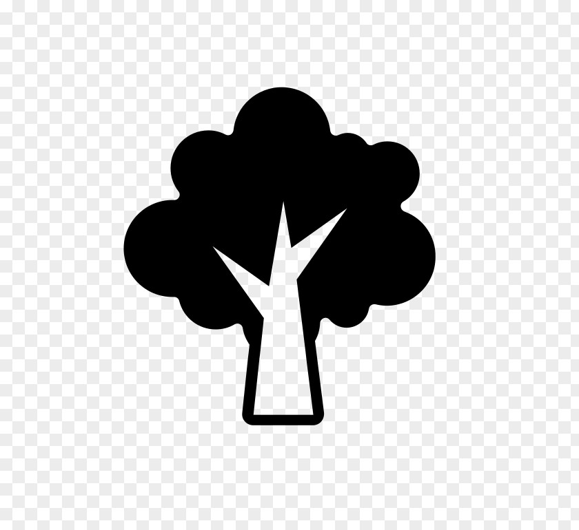 Tree Oak Symbol PNG