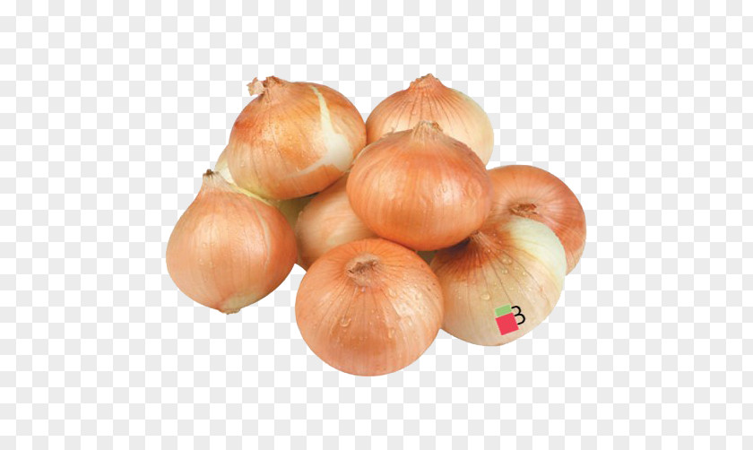 Vegetable Yellow Onion Shallot Organic Food PNG