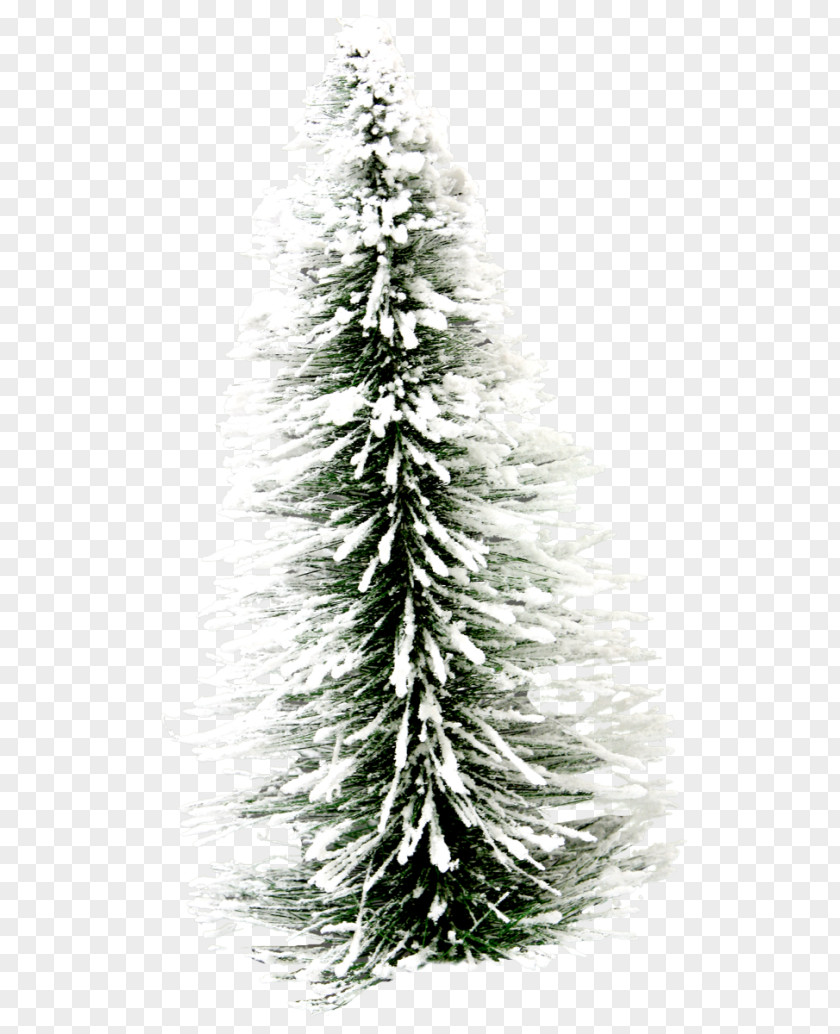 Christmas Desktop Wallpaper Tree PNG