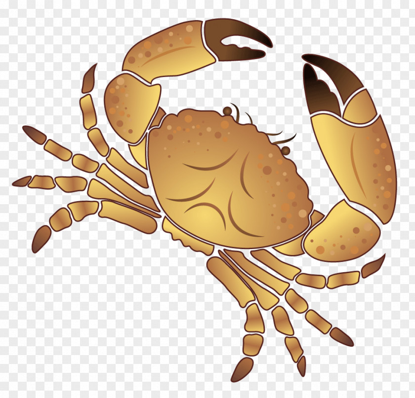 Crab Coconut PNG Coconut, crab clipart PNG