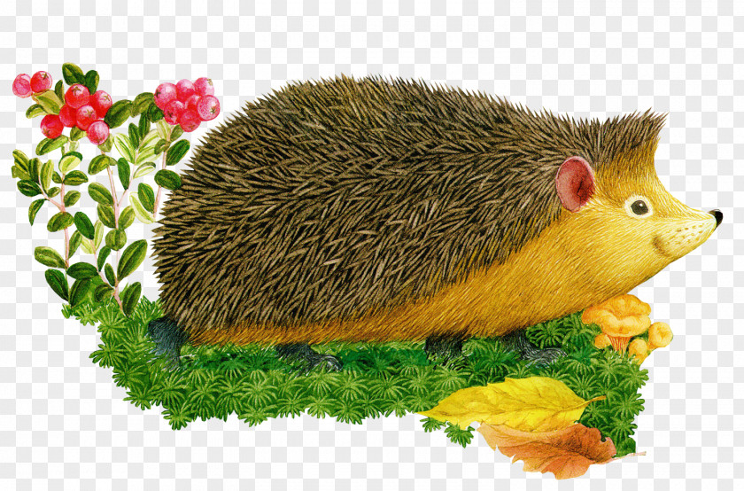 European Hedgehog Gray Wolf U0416u0438u043bu0438-u0431u044bu043bu0438 U0451u0436u0438u043au0438 Child PNG wolf u0416u0438u043bu0438-u0431u044bu043bu0438 u0451u0436u0438u043au0438 Child, cartoon animal painting clipart PNG