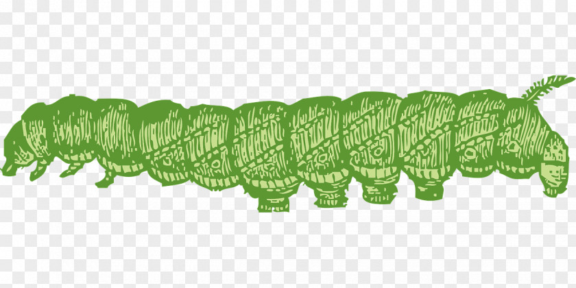 Green Caterpillar Butterfly Clip Art PNG