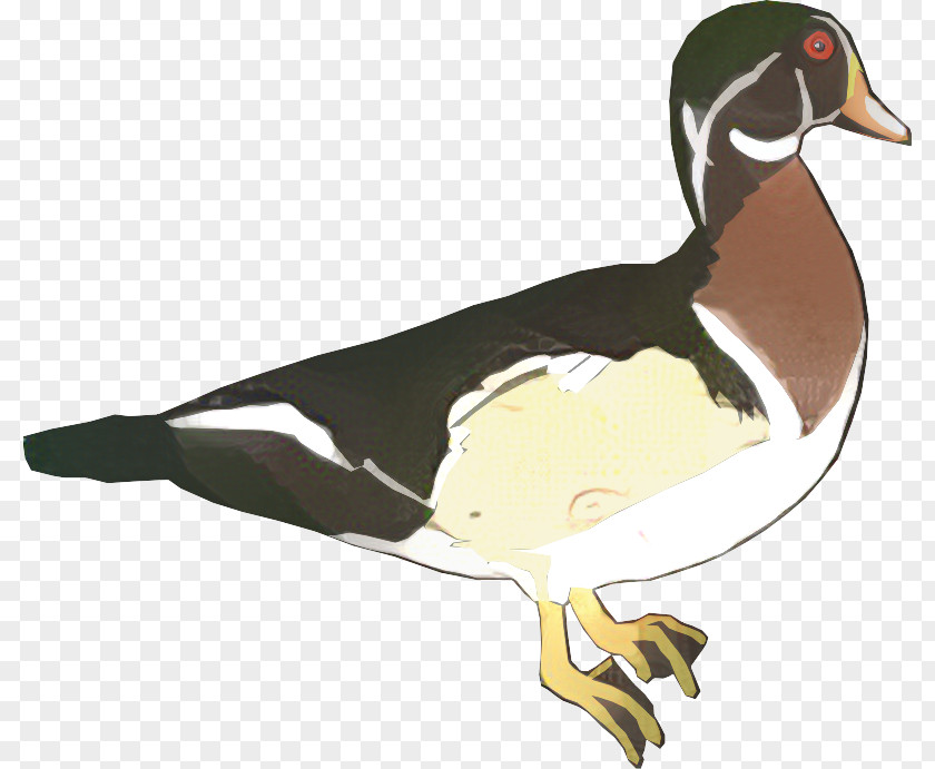 Mallard Goose Duck Flightless Bird PNG