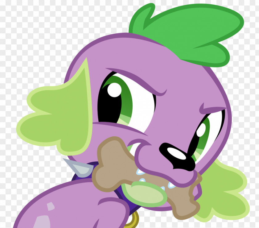Spike Rarity My Little Pony Dog PNG