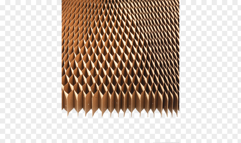 Bee Paper Material Honeycomb Cardboard PNG