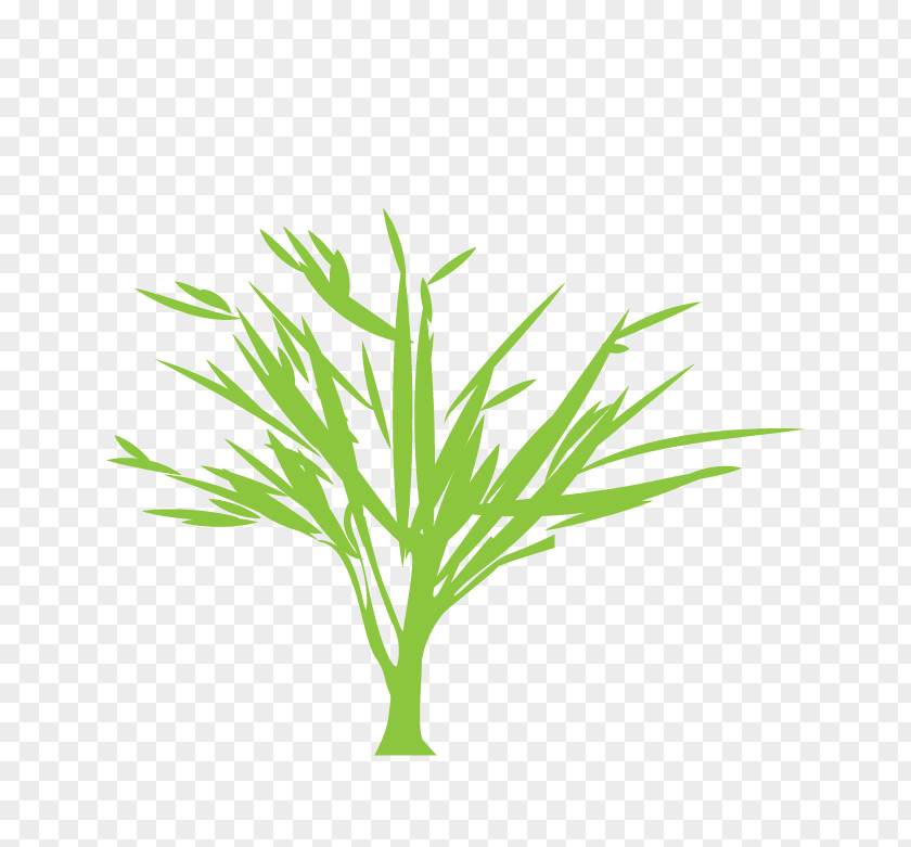 Creative Bamboo Leaves Tree Silhouette Euclidean Vector Green PNG