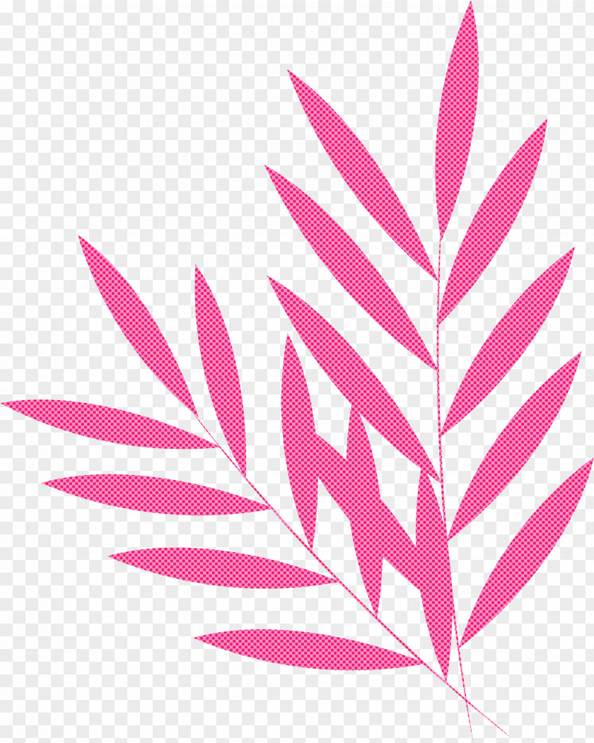 Floral Design PNG