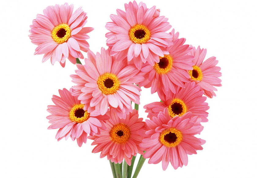 Flower Bouquet U041du0430u0442u044fu0436u043du0430 U0441u0442u0435u043bu044f Floristry PNG bouquet u041du0430u0442u044fu0436u043du0430 u0441u0442u0435u043bu044f Floristry, Sunflower clipart PNG