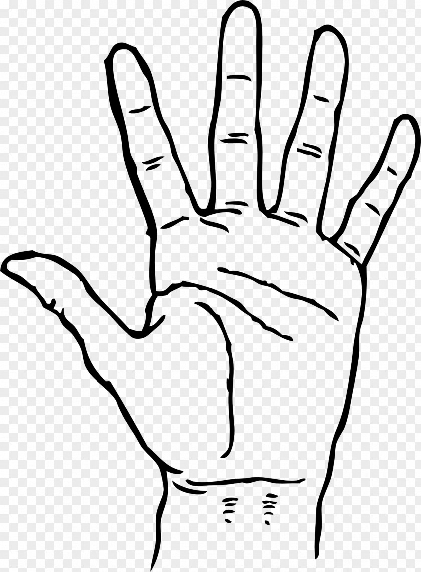 Hand Palm Clip Art PNG