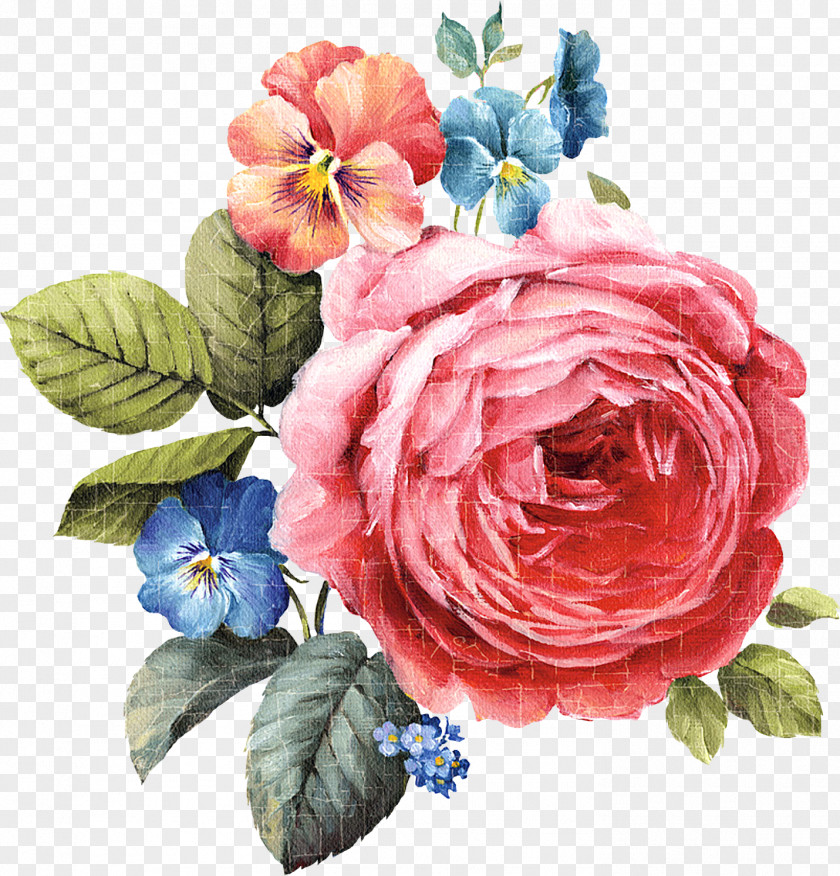 Painting Flower Watercolor: Flowers Clip Art Pictures PNG