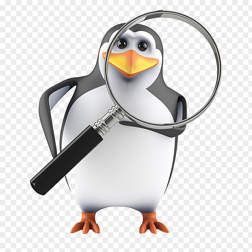 Penguin Holding A Magnifying Glass Stock Photography PNG
