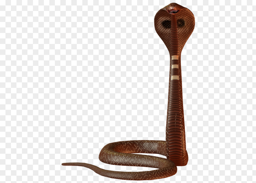 Snake Reptile Palm Treo Pro Dalek PNG