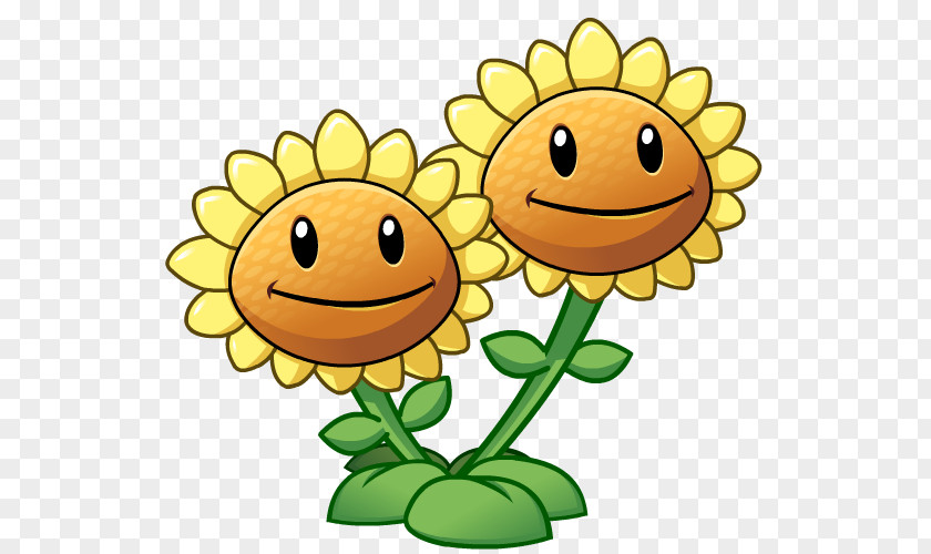 Sunflower Drawing Common Plants Vs. Zombies 2: It's About Time Heroes Zombies: Garden Warfare 2 PNG