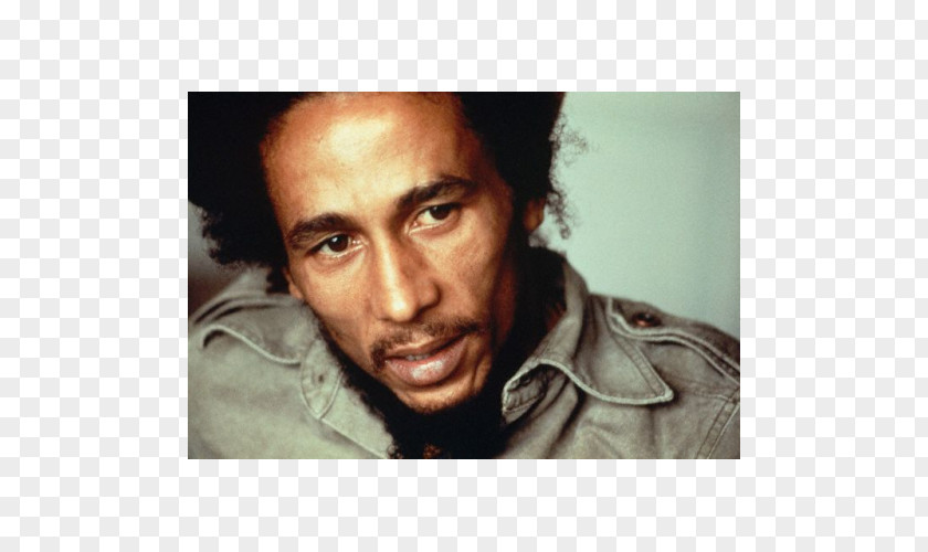 Bob Marley Reggae Musician Jamaica Legend PNG