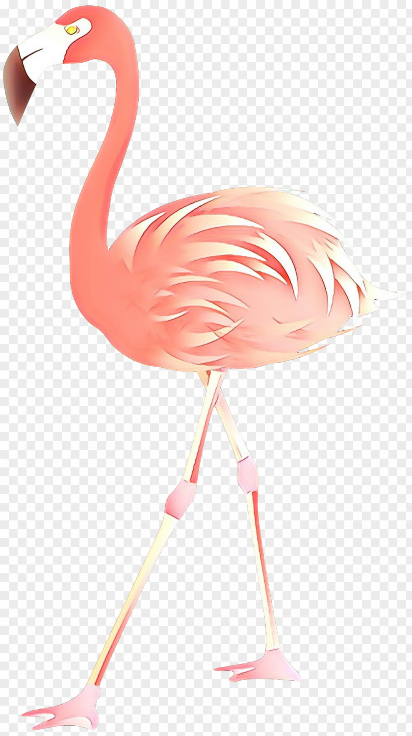 Clip Art Flamingo Image Desktop Wallpaper PNG