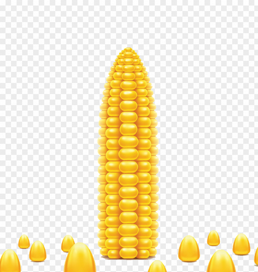 Golden Corn On The Cob Popcorn Vegetarian Cuisine Maize Kernel PNG