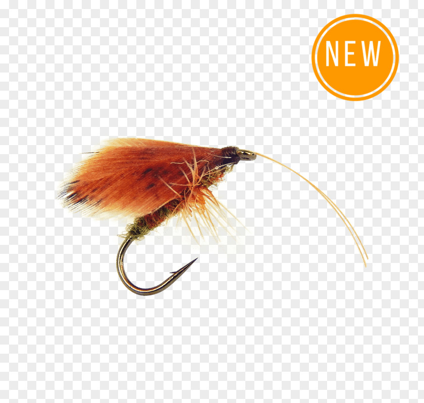 Insect Artificial Fly Fishing Mayfly Angling PNG