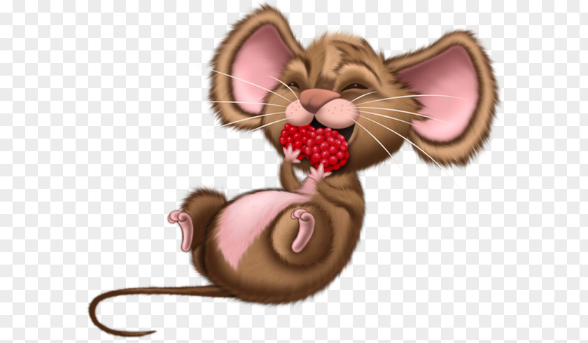 Mouse Computer Rat Drawing PNG